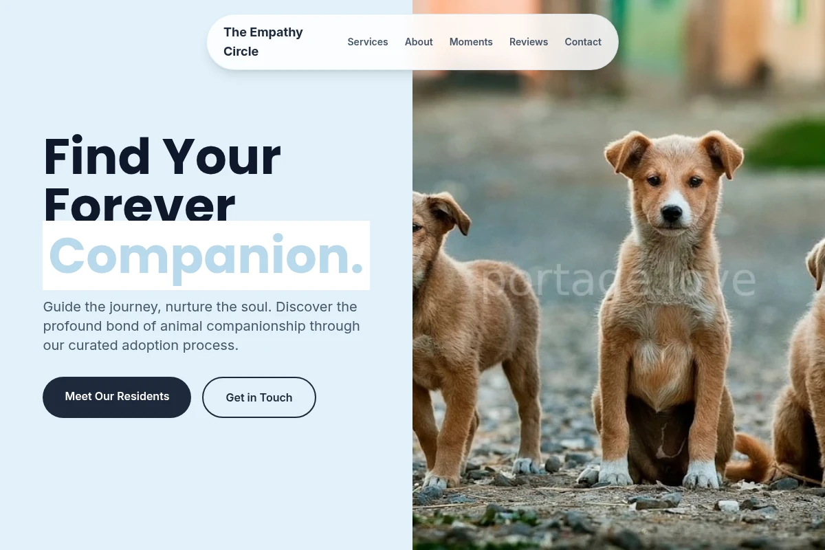 Kindness Pet Adoption