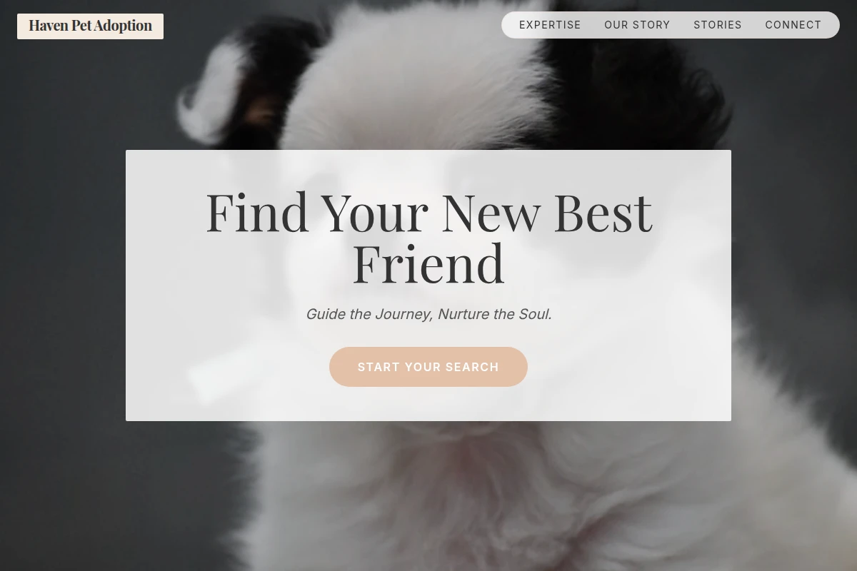 Haven Pet Adoption