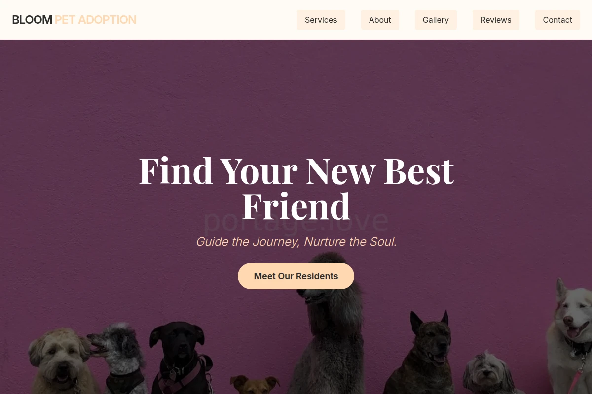 Bloom Pet Adoption