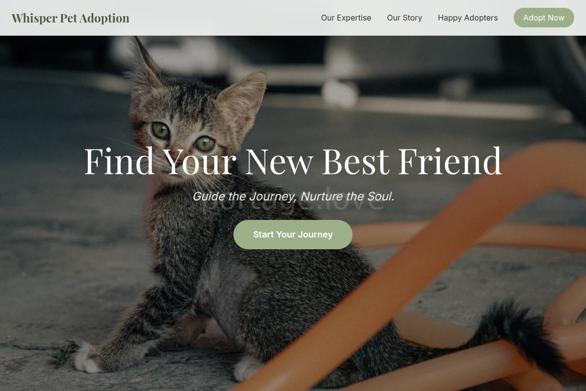 Whisper Pet Adoption