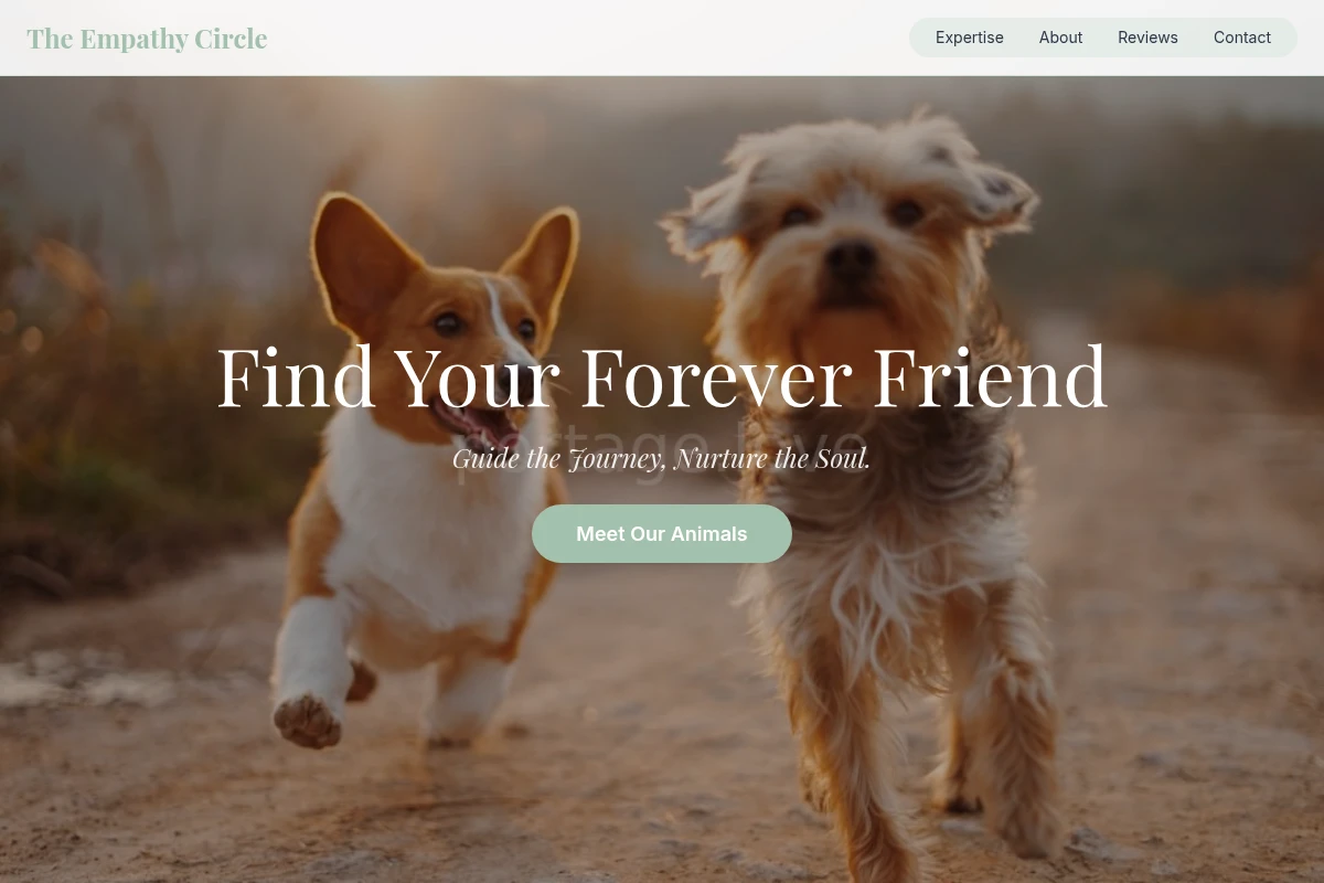 Gentle Pet Adoption