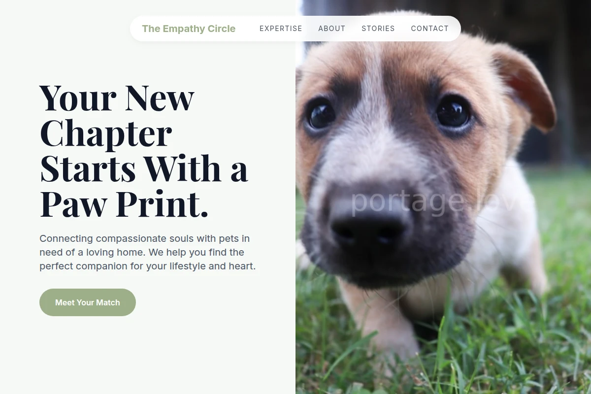 Harmony Pet Adoption