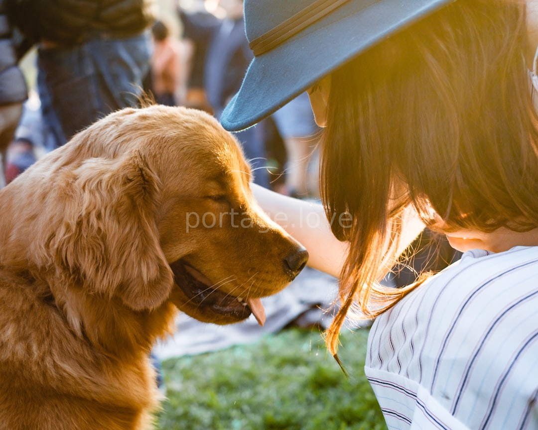 Adoption